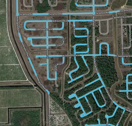Aerial 4