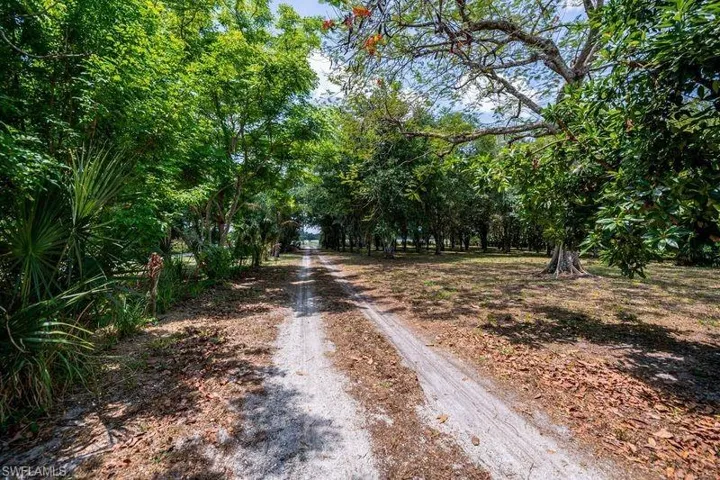 Driveway