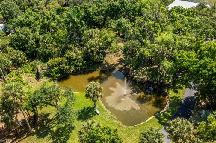 Pond