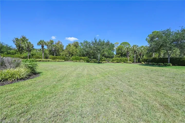 Expansive green lawn surrounded by mature trees and lush landscaping, featuring palm trees and various foliage