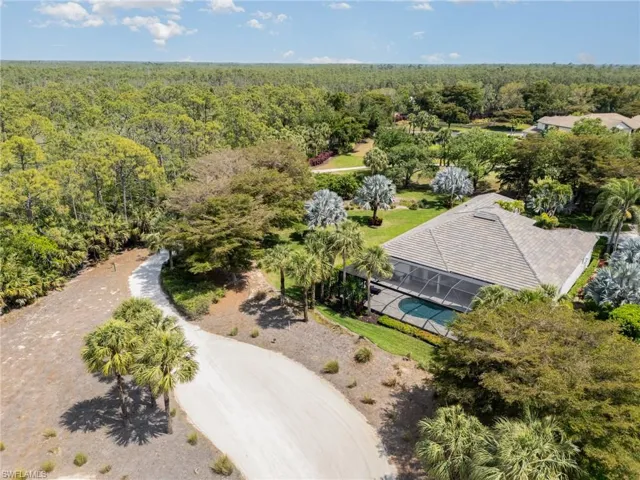 Bird's eye view with a forest view