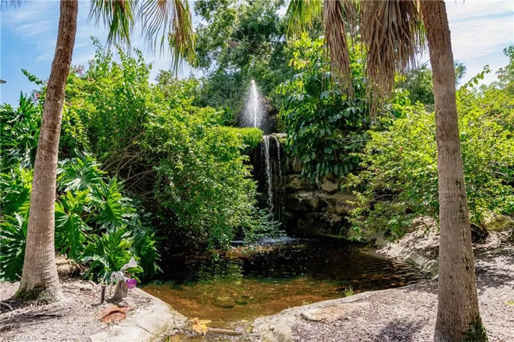 View of nature