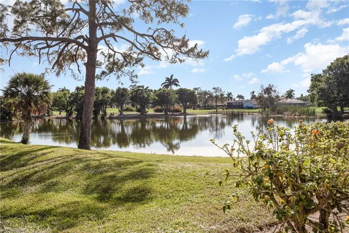 Water view