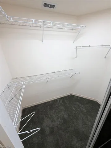 Walk in closet with carpet flooring