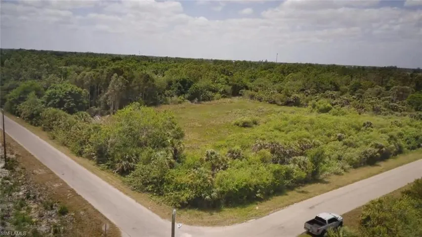 Drone / aerial view with a forest view