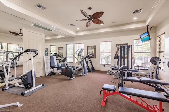 Gym featuring carpet floors, ceiling fan, a raised ceiling, and a healthy amount of sunlight
