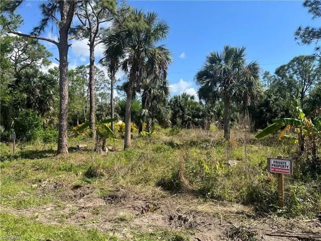 View of property