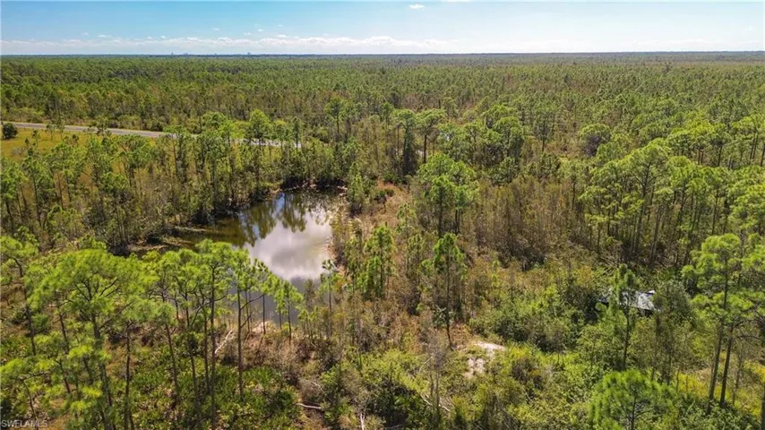 Drone / aerial view of a nearby body of water and a forest
