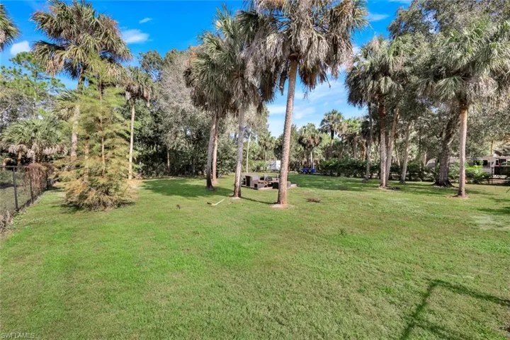 Expansive grass yard featuring numerous palm trees and varied foliage