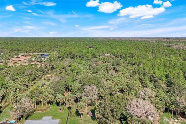 Expansive acreage featuring abundant mature trees, varied natural foliage, and a serene pond