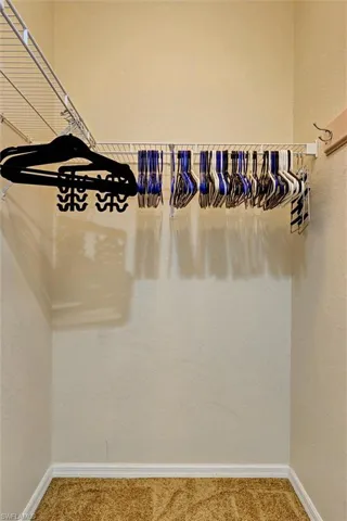 Primary walk-in closet with carpet — ample storage