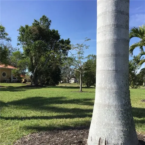 View of property's community featuring a yard