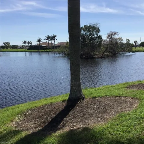 Water view