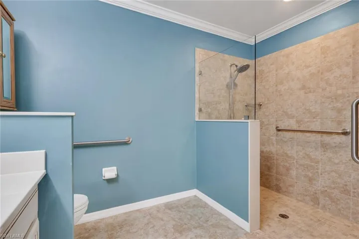 Full bathroom featuring vanity, a walk in shower, ornamental molding, and pet washing area
