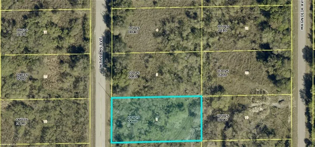 1412 Williams Ave, Lehigh Acres, Florida 33972