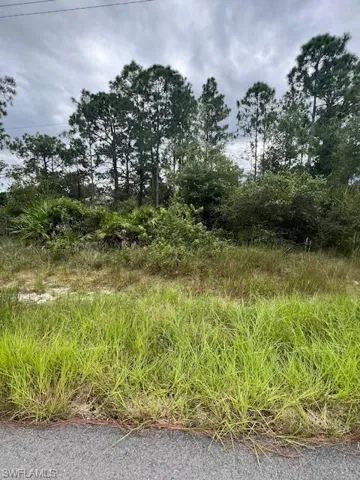 View of nature