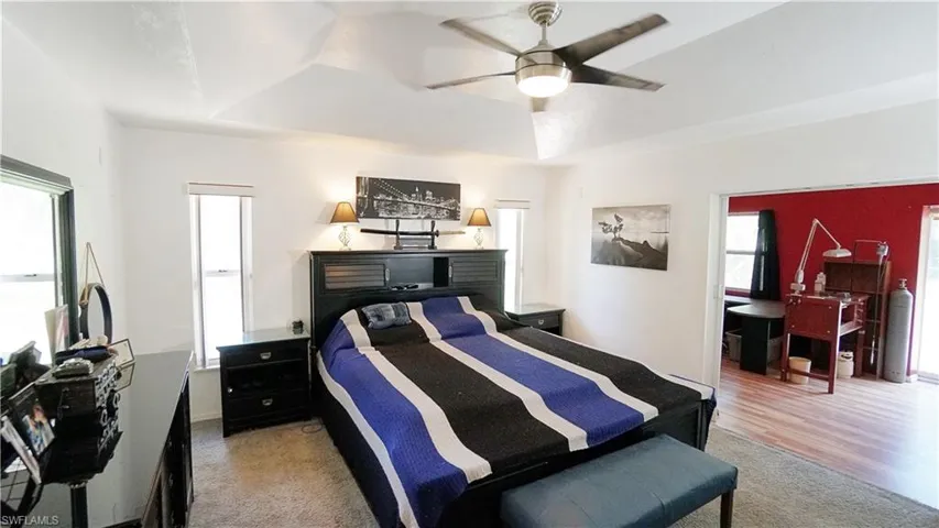 Bedroom with a tray ceiling, light carpet, and multiple windows