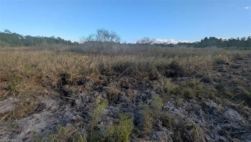 View of local wilderness featuring rural landscape