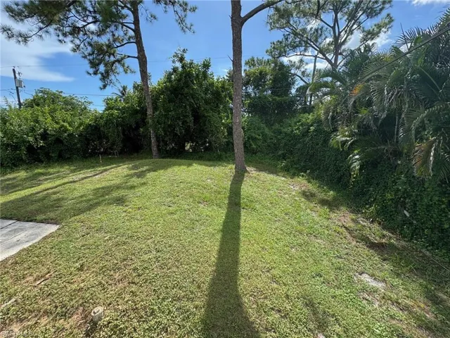 View of green lawn