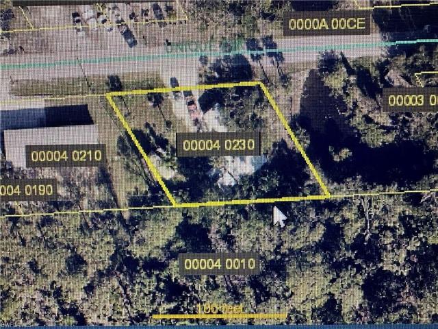 BIG PARCEL 116' X 100'