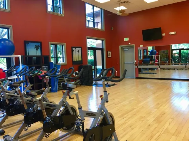 Stretch area & Spin