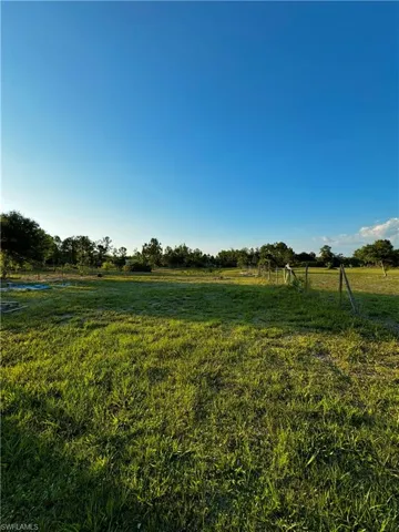 Yard view
