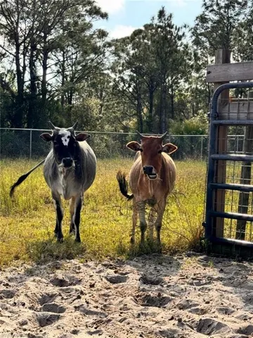 145 N Datil St, Clewiston, Florida 33440