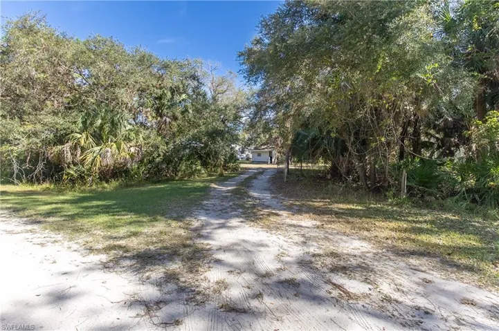 View of dirt / gravel driveway