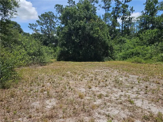 Back Acreage