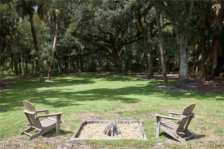 View of yard, preserve and oak hammock