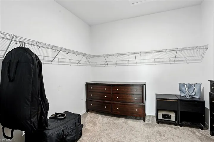 Spacious closet featuring light carpet
