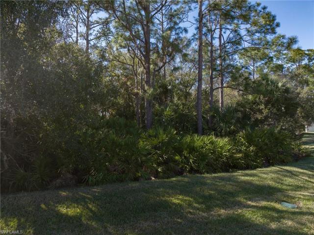 Preserve view (Back Yard)