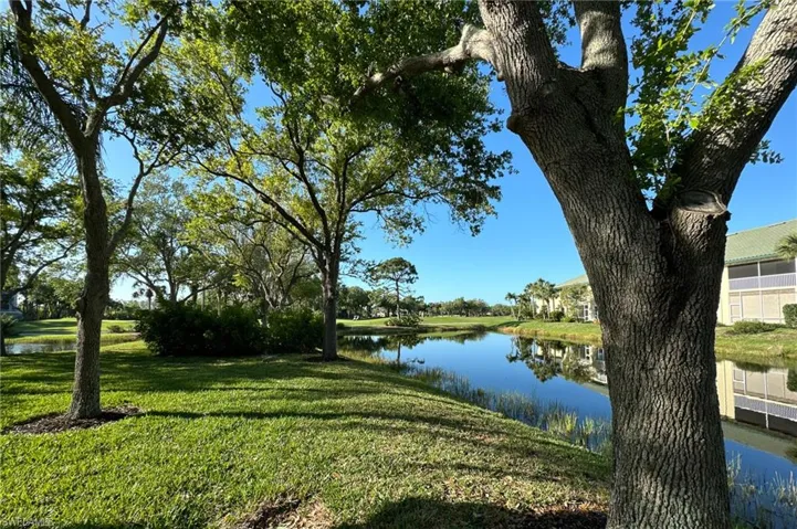24300  Sandpiper Isle  WAY, Bonita Springs, FL 34134