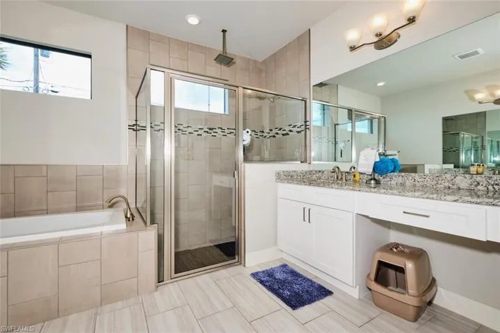 Bathroom with plenty of natural light, vanity, and separate shower and tub