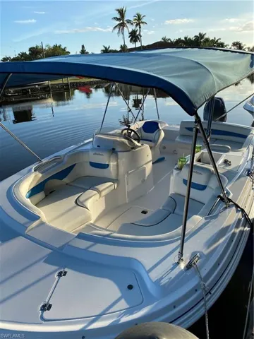 Double Bimini