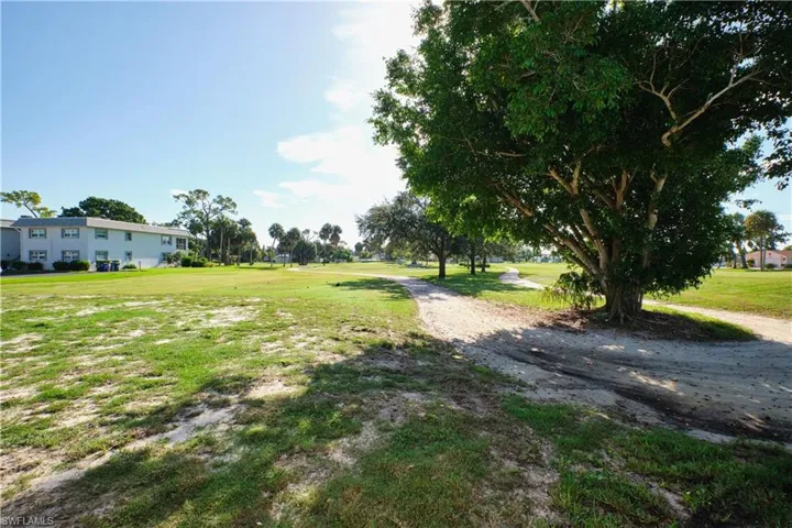 View of green lawn