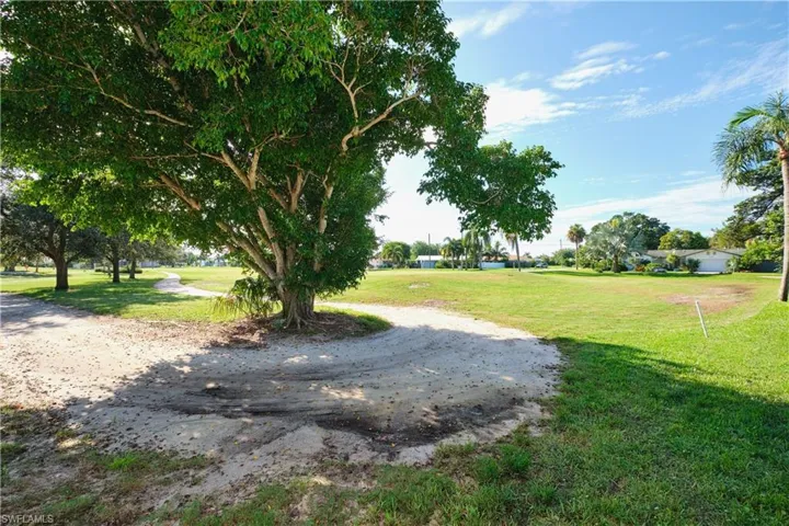 View of grassy yard