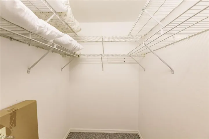 Walk in closet featuring carpet floors