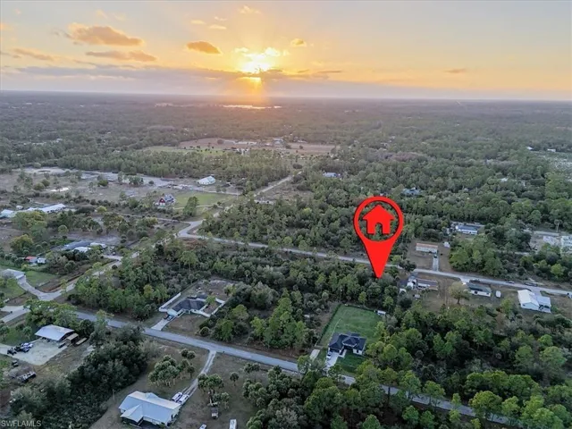 Aerial view of a forest