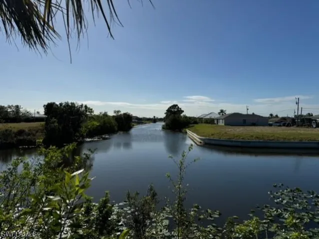 Your view behind the lot