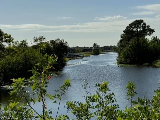 Your backyard view of the intersecting canal