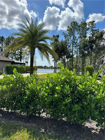 13881  Golden Palms  CIR, Fort Myers, FL 33913