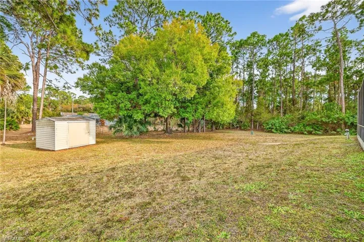 View of green lawn with a storage shed and view of scattered trees