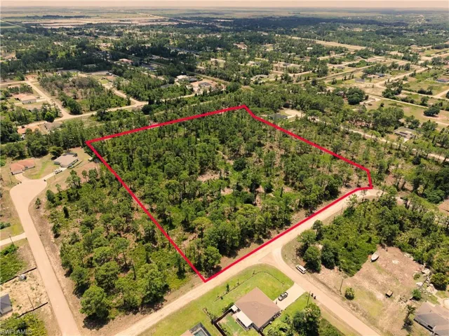 Expansive wooded parcel featuring mature trees
