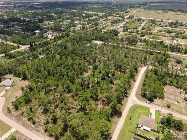 Expansive undeveloped land featuring a dense tree canopy and natural ground cover