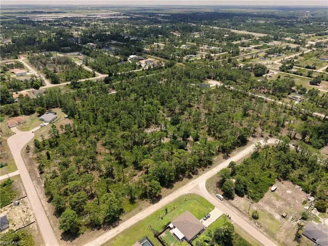 Expansive wooded lot featuring mature trees and a substantial land area