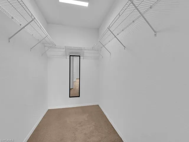 Spacious closet with carpet flooring