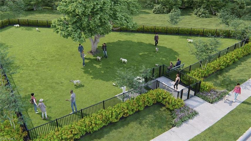 Dog Park Rendering