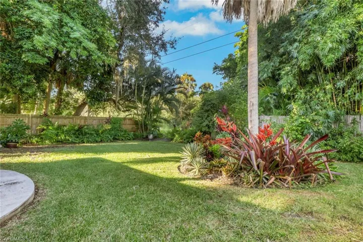 Beautiful back yard