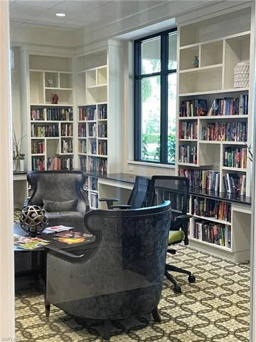 Amenity Center Library